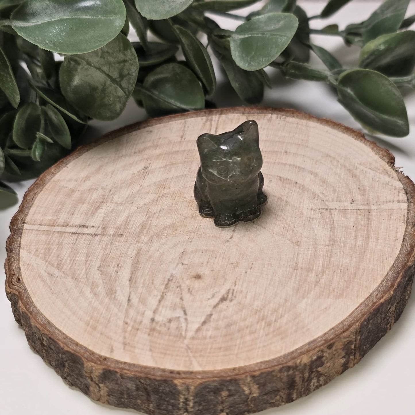 GATITO JADE