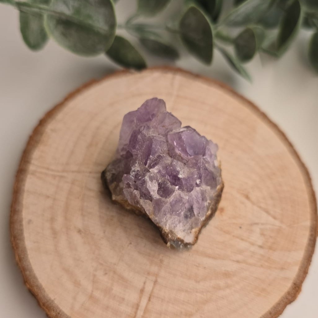 Amatista Púrpura (M)