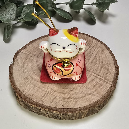 GATO CHINO DE LA SUERTE