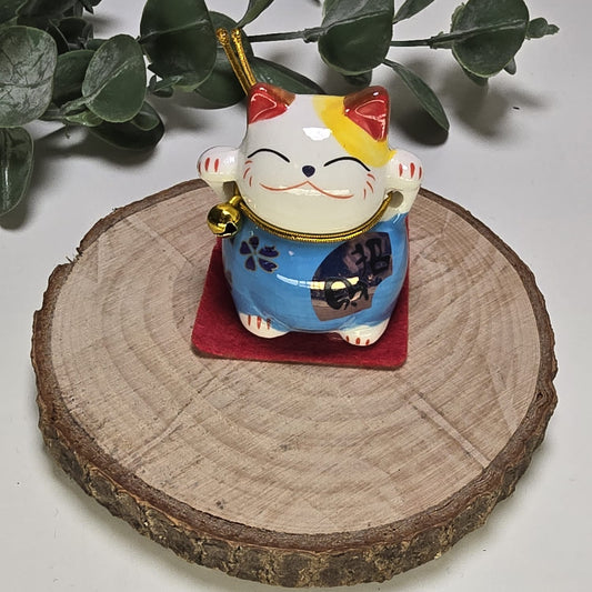 GATO CHINO DE LA SUERTE