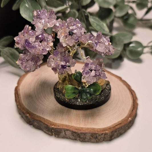Arbol de  Amatista